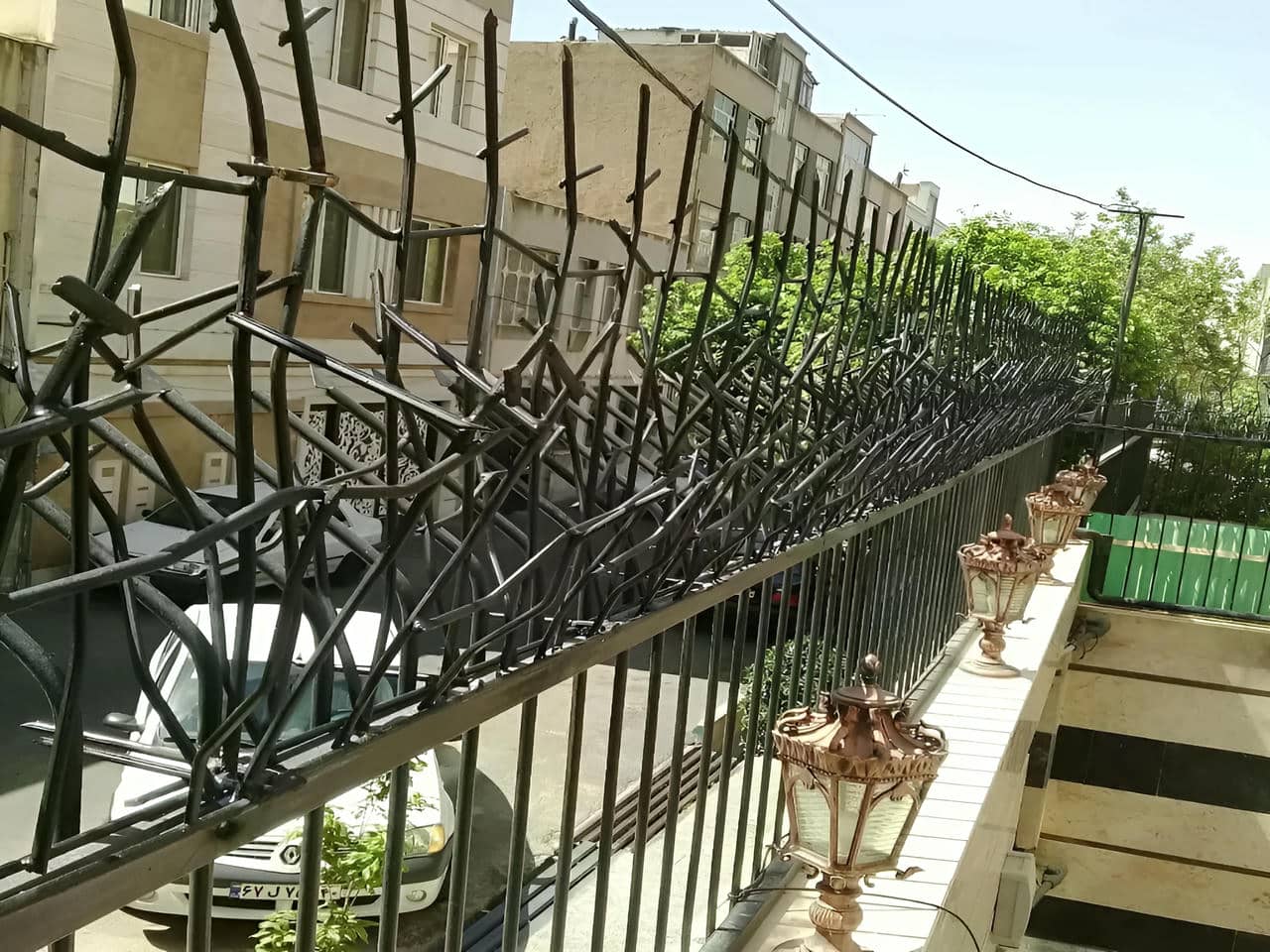 حفاظ شاخ گوزنی